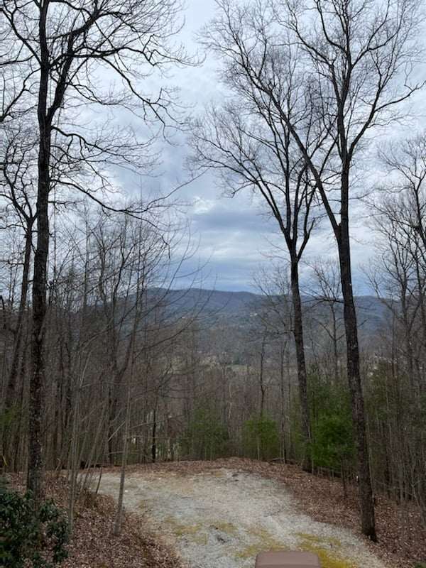 92 Boulder Lane Rabun Gap, GA 30568 - Photo 49 of 55