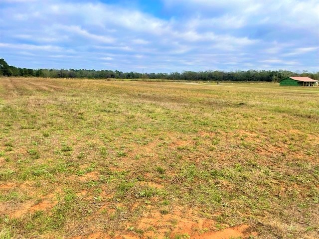 3300 Singletary Road Slocomb, AL 36375 - Photo 5 of 6