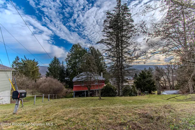 a view of a big yard with plants and large trees