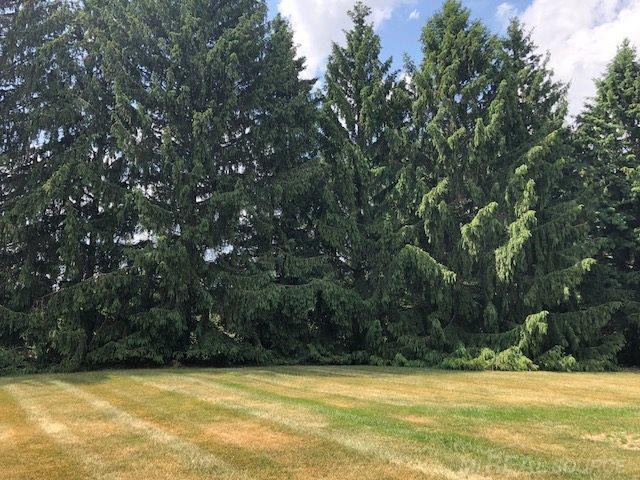 1380 South Sandusky Road Sandusky, MI 48471 - Photo 22 of 28 31350089-21.JPG