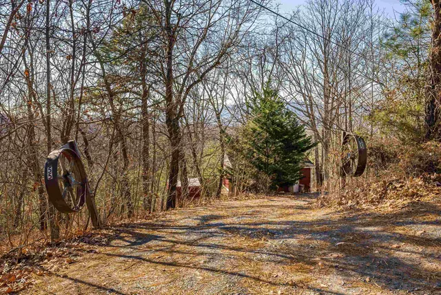 a view of a forest with a forest