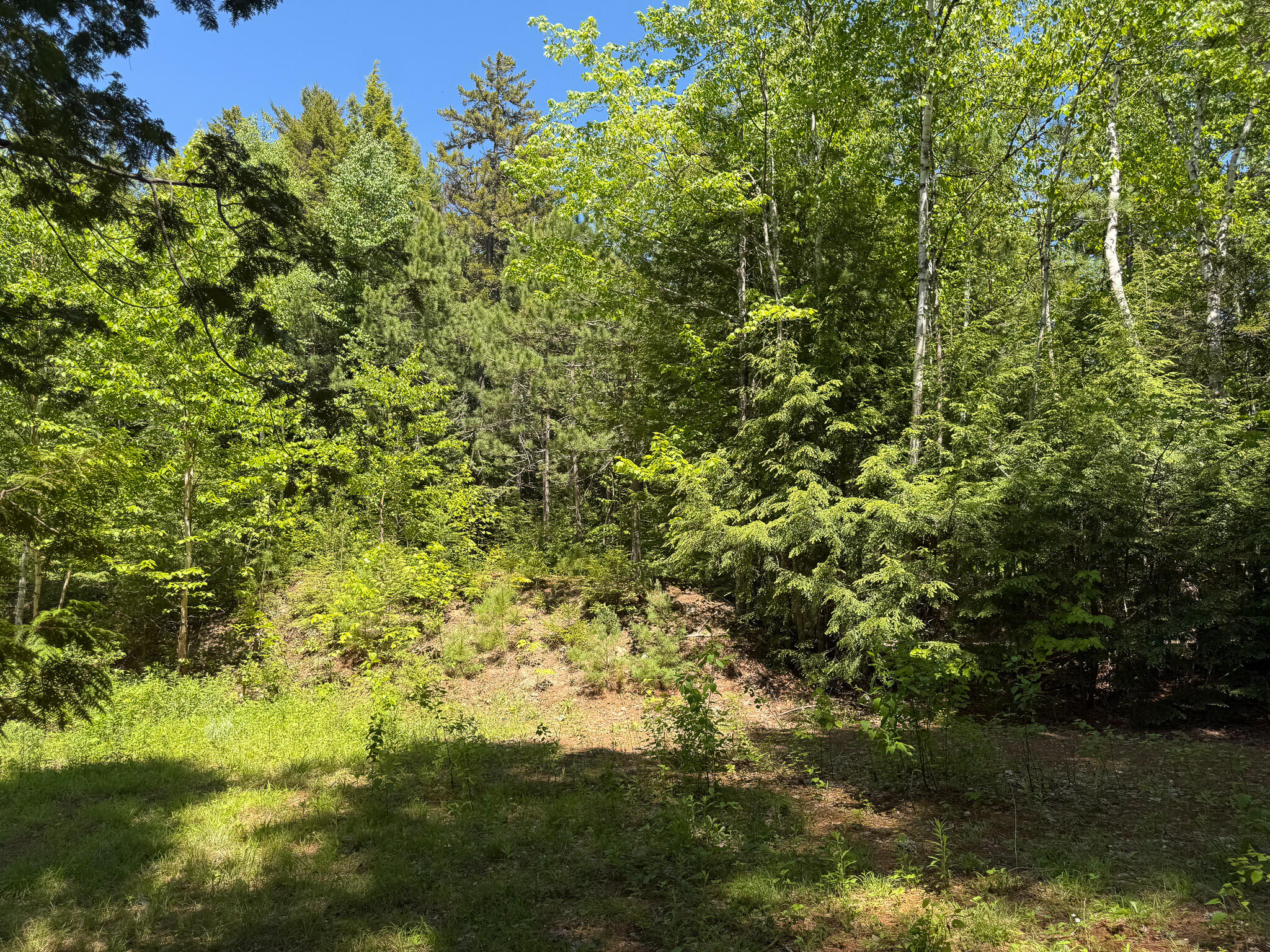 Lot 3 East Shore Road Lakeville, ME 04487 - Photo 14 of 16 12