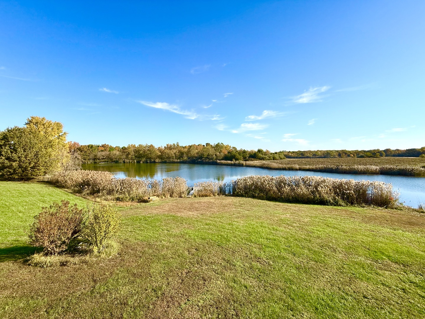 3350 North McGeesville Road Carbondale, IL 62902 - Photo 54 of 58