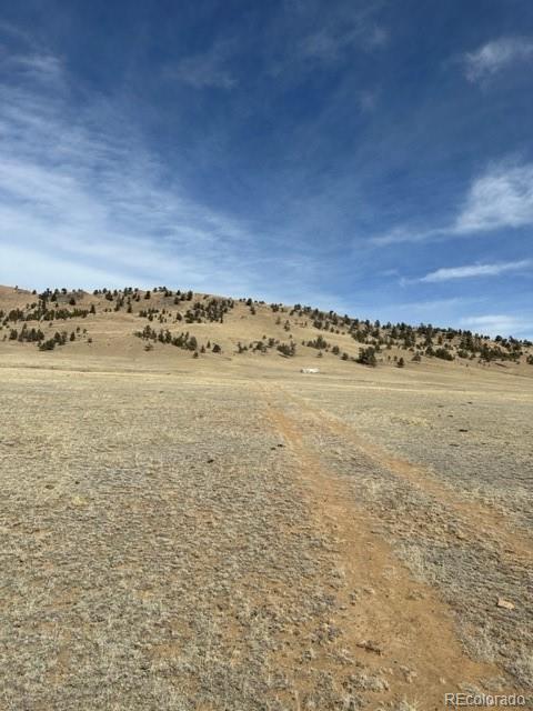 540 Lakeview Road Hartsel, CO 80449 - Photo 3 of 20 Gallery Image 3