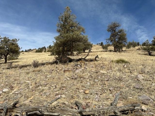 540 Lakeview Road Hartsel, CO 80449 - Photo 7 of 20 Gallery Image 7