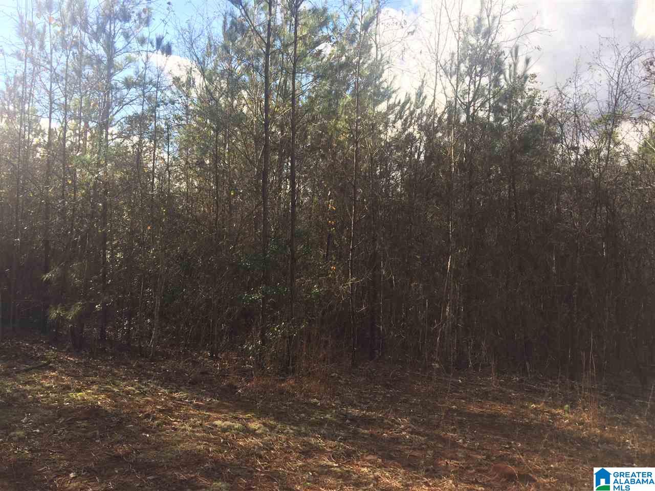 0 Gardner Road, Unit 1 Dadeville, AL 36853 - Photo 3 of 4