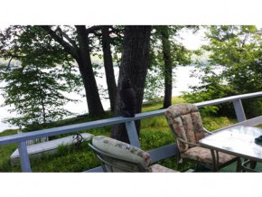 40 Glen Road Enfield, NH 03748 - Photo 24 of 32 Gallery Image 24