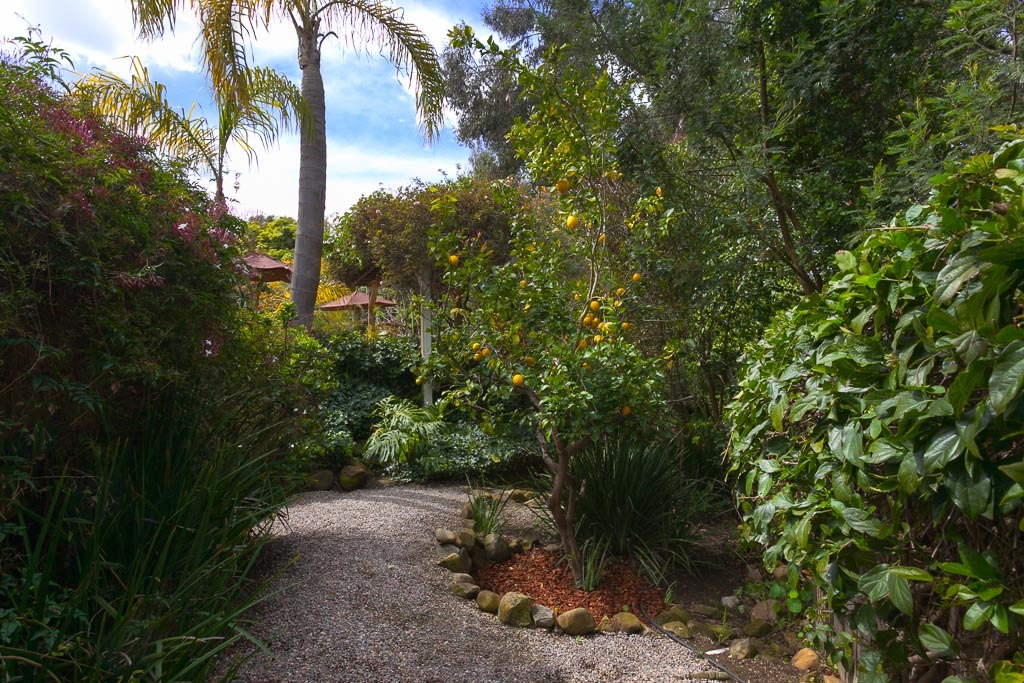 183 Hot Springs Road Santa Barbara, CA 93108 - Photo 20 of 26 BackYardArea
