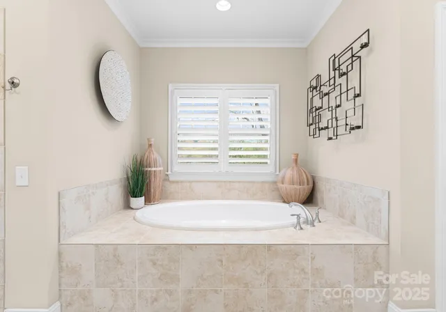 a view of a livingroom with furniture and a potted plant