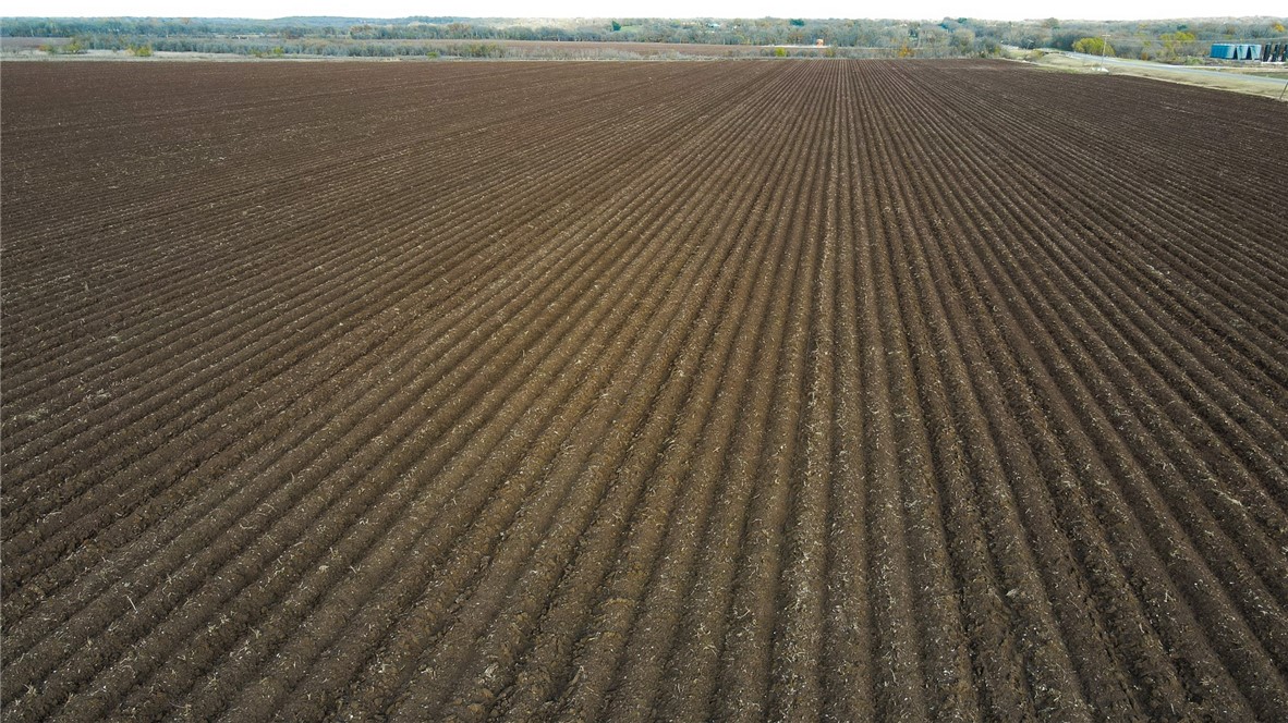 0 Sandy Point Road Bryan, TX 77807 - Photo 4 of 6