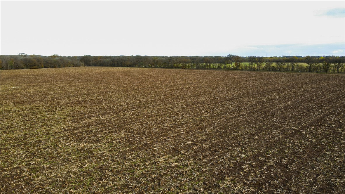 0 Sandy Point Road Bryan, TX 77807 - Photo 5 of 6