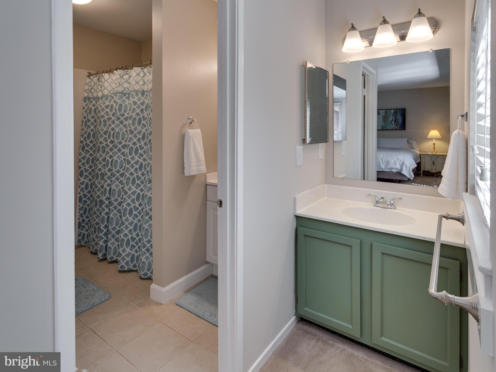1663 Bachan Court Reston, VA 20190 - Photo 22 of 29 a bathroom with a sink and mirror