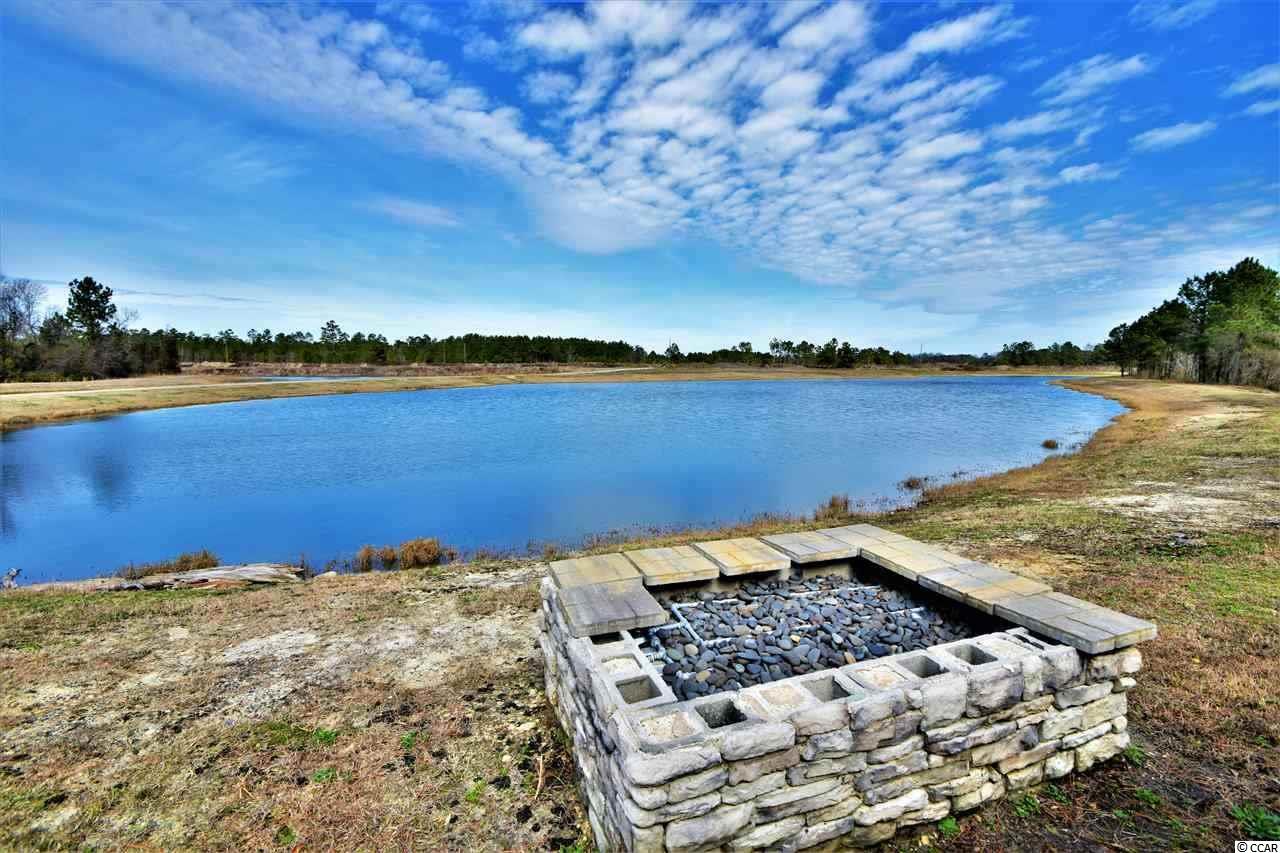 1215 Hewitt Road Loris, SC 29569 - Photo 8 of 21