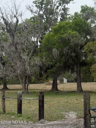 a view of a yard with plants