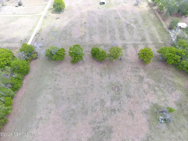 a view of a plants with a yard