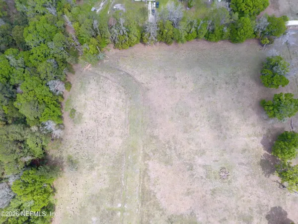 a view of a plants with trees in the background