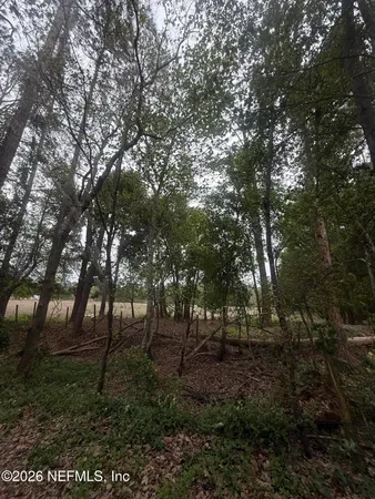 a view of outdoor space and yard