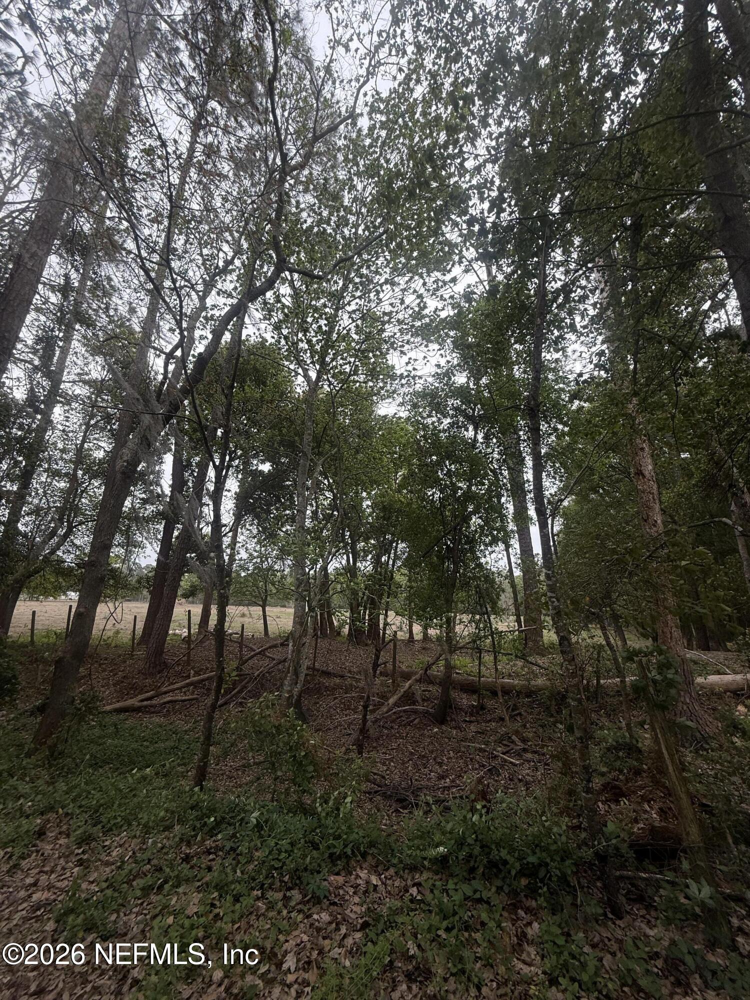Tbd Northeast 163rd Street Starke, FL 32091 - Photo 7 of 10 a view of outdoor space and yard