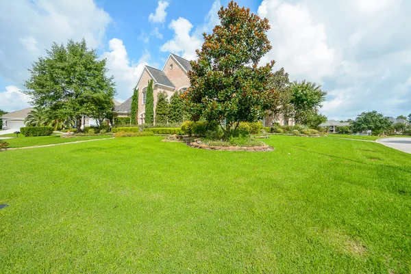 a view of a trees in front of a house