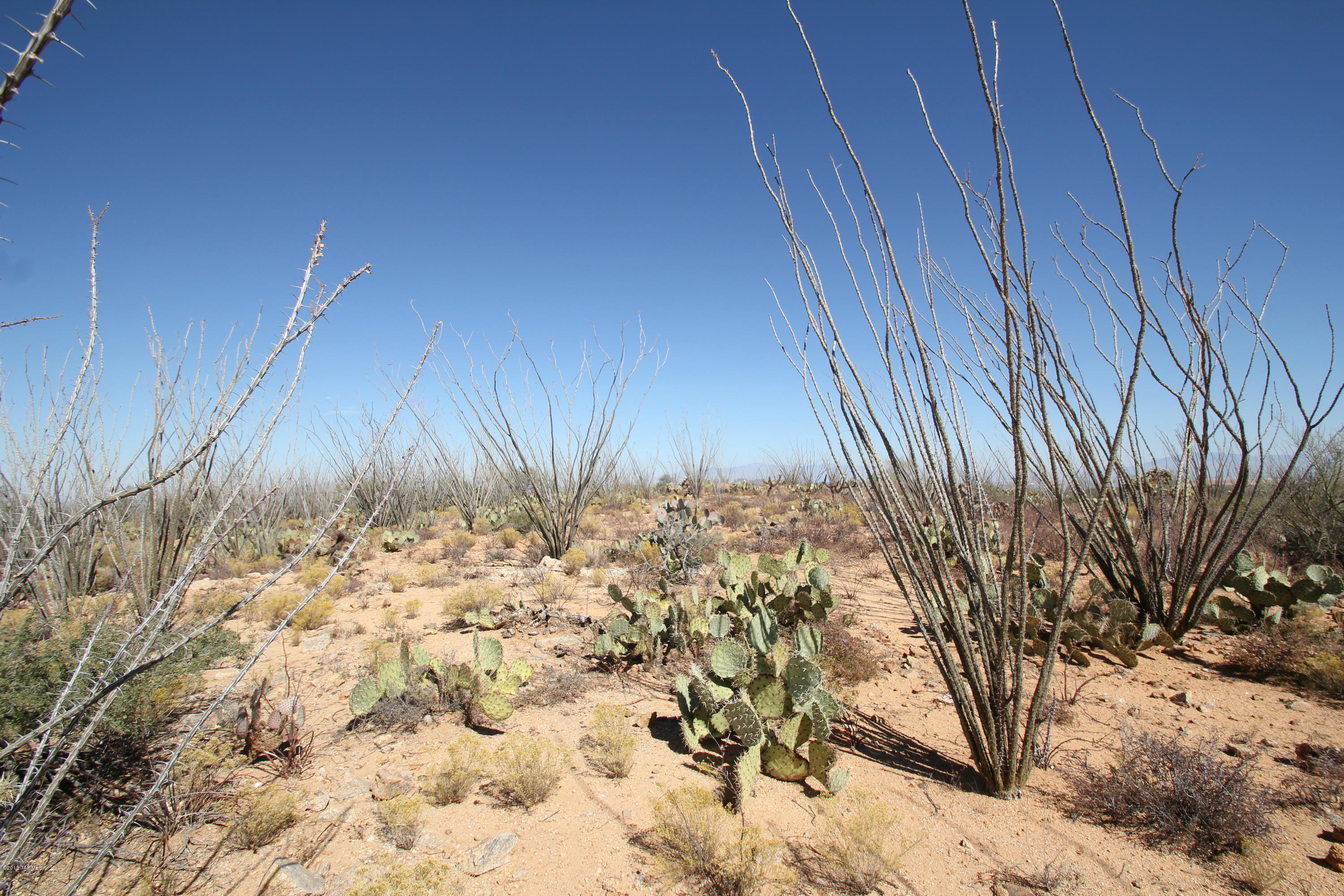 Pinto Road Sahuarita, AZ 85629 - Photo 2 of 17