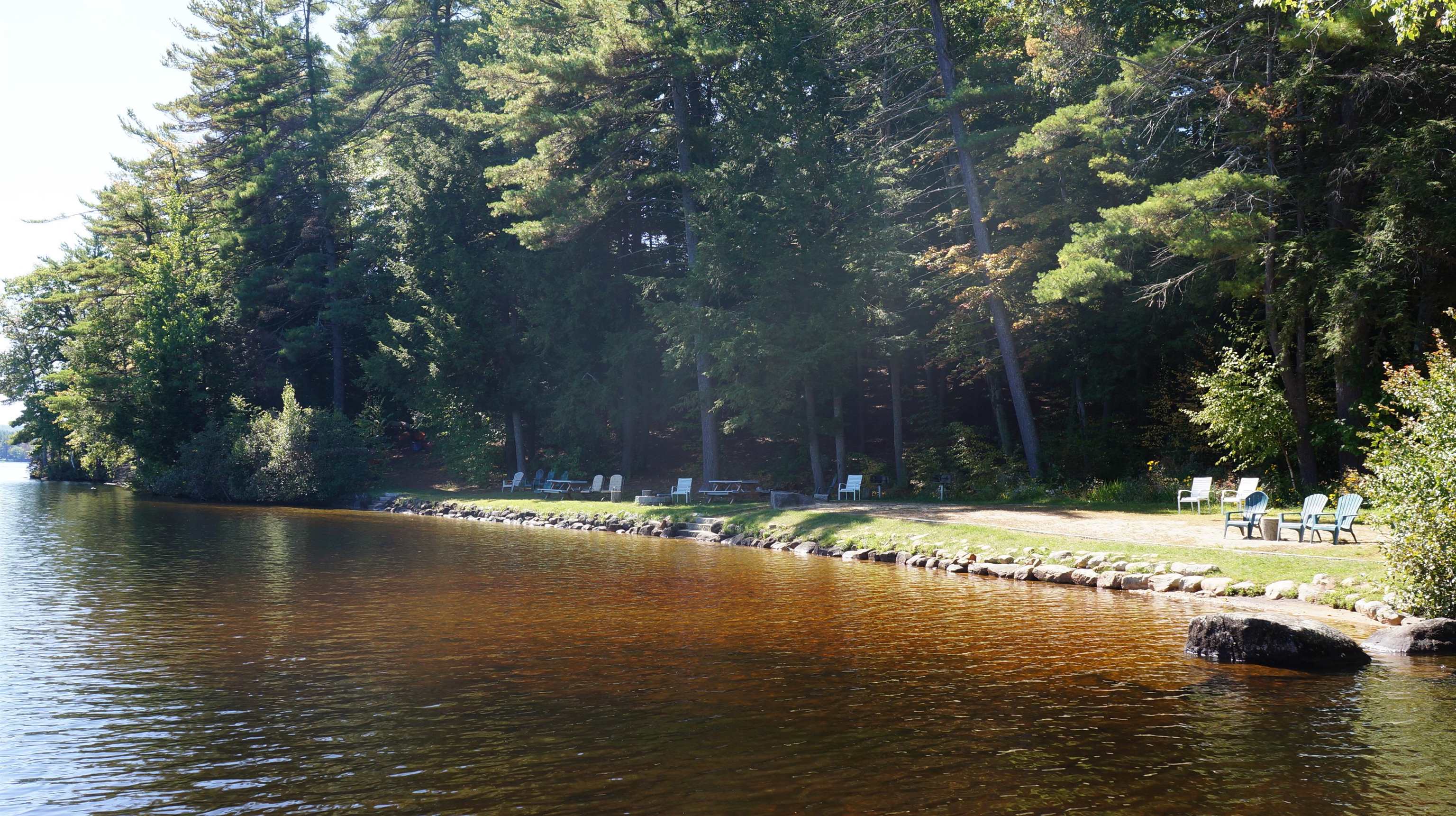 62 Collins Landing Road, Unit 50 Weare, NH 03281 - Photo 54 of 55