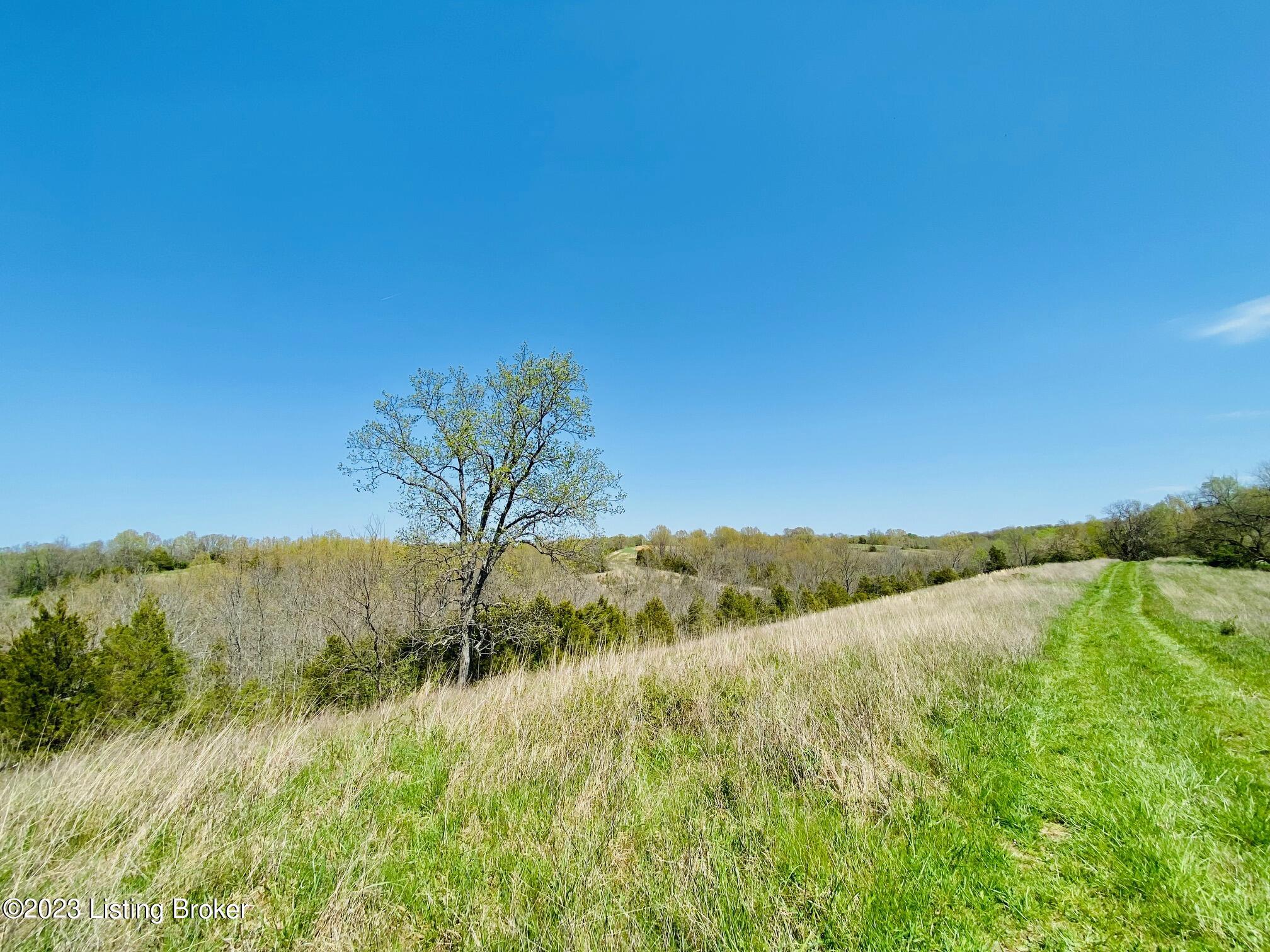 2800 Battle Road Harrodsburg, KY 40330 - Photo 5 of 6 IMG_3419