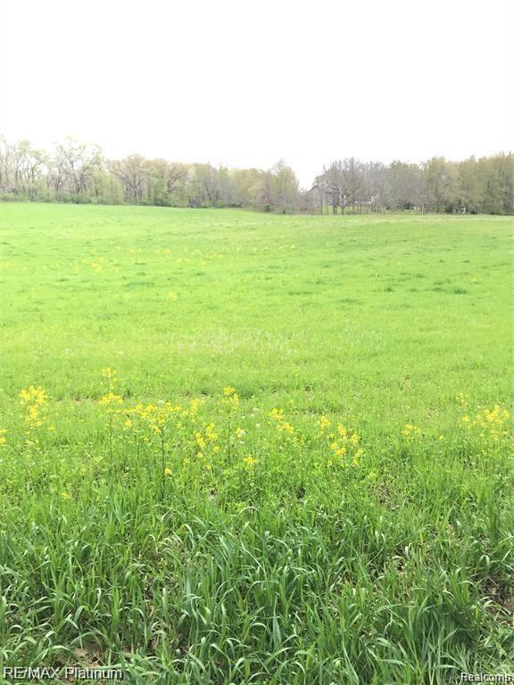 Vl Kane Road Stockbridge, MI 49285 - Photo 13 of 23