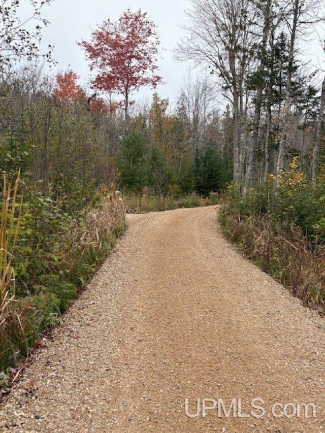 N7228 Rock River Road Deerton, MI 49822 - Photo 14 of 46