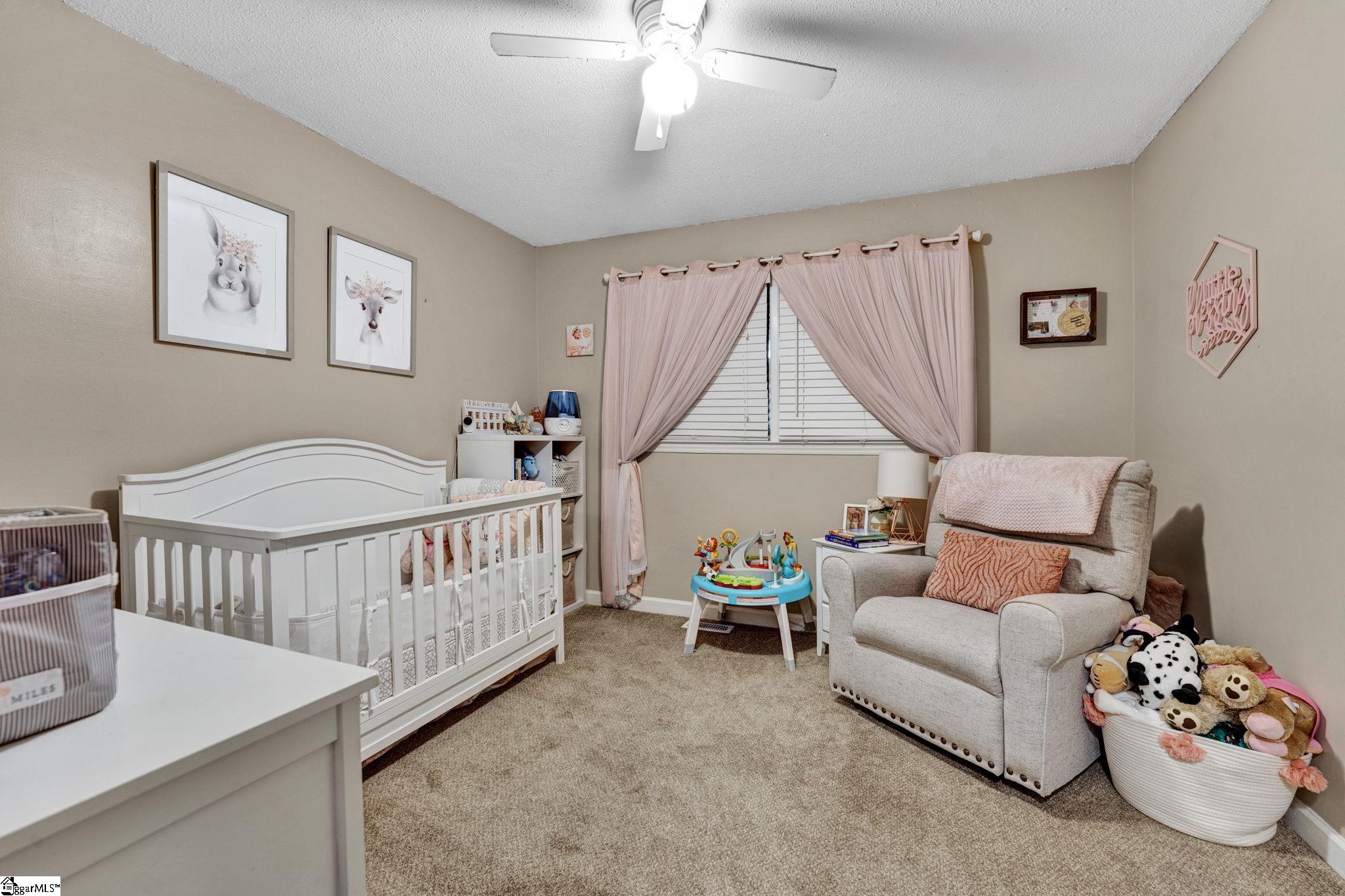 116 Maplewood Circle Greer, SC 29651 - Photo 17 of 29