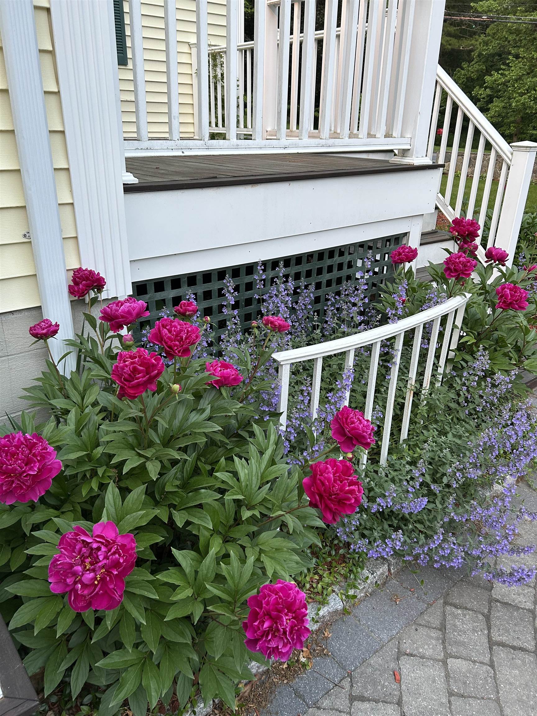95 Kingston Road Exeter, NH 03833 - Photo 57 of 60
