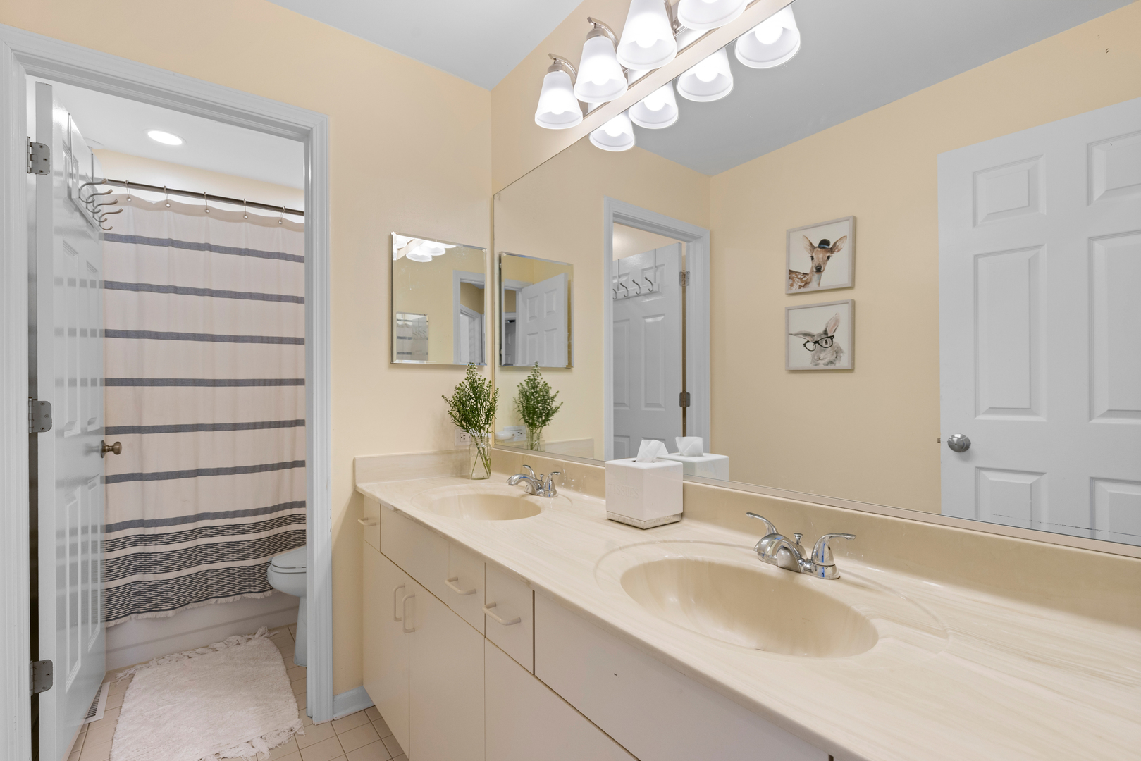 607 Raintree Road Buffalo Grove, IL 60089 - Photo 20 of 27 a bathroom with a double vanity sink and a mirror