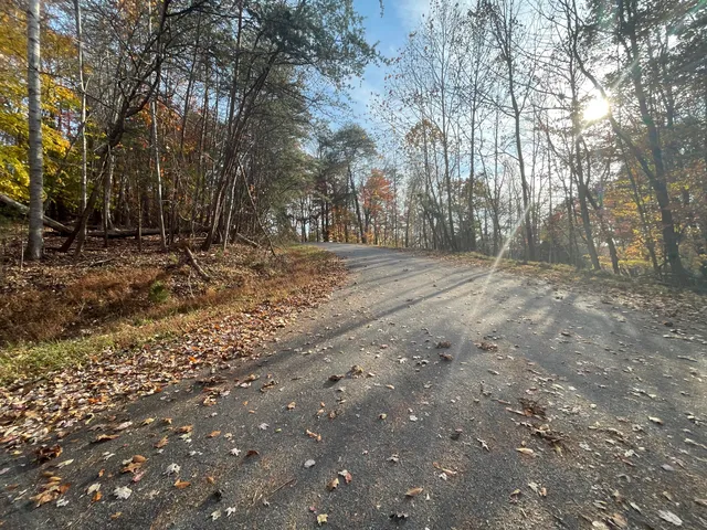 a view of a yard with trees