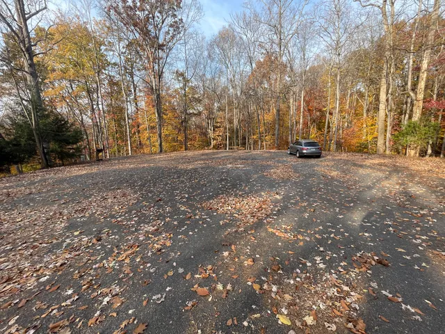 a view of road with trees