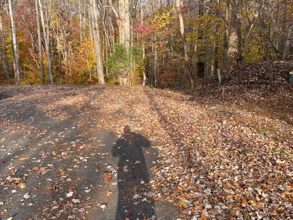 $27,500 | 0 Stripers Lane, Moneta, VA 24121