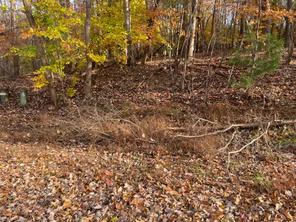 $27,500 | 0 Stripers Lane, Moneta, VA 24121