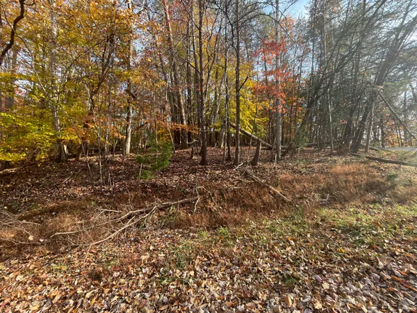 $27,500 | 0 Stripers Lane, Moneta, VA 24121