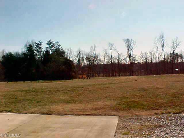 7951 Lester Road Stokesdale, NC 27357 - Photo 8 of 9 Other.