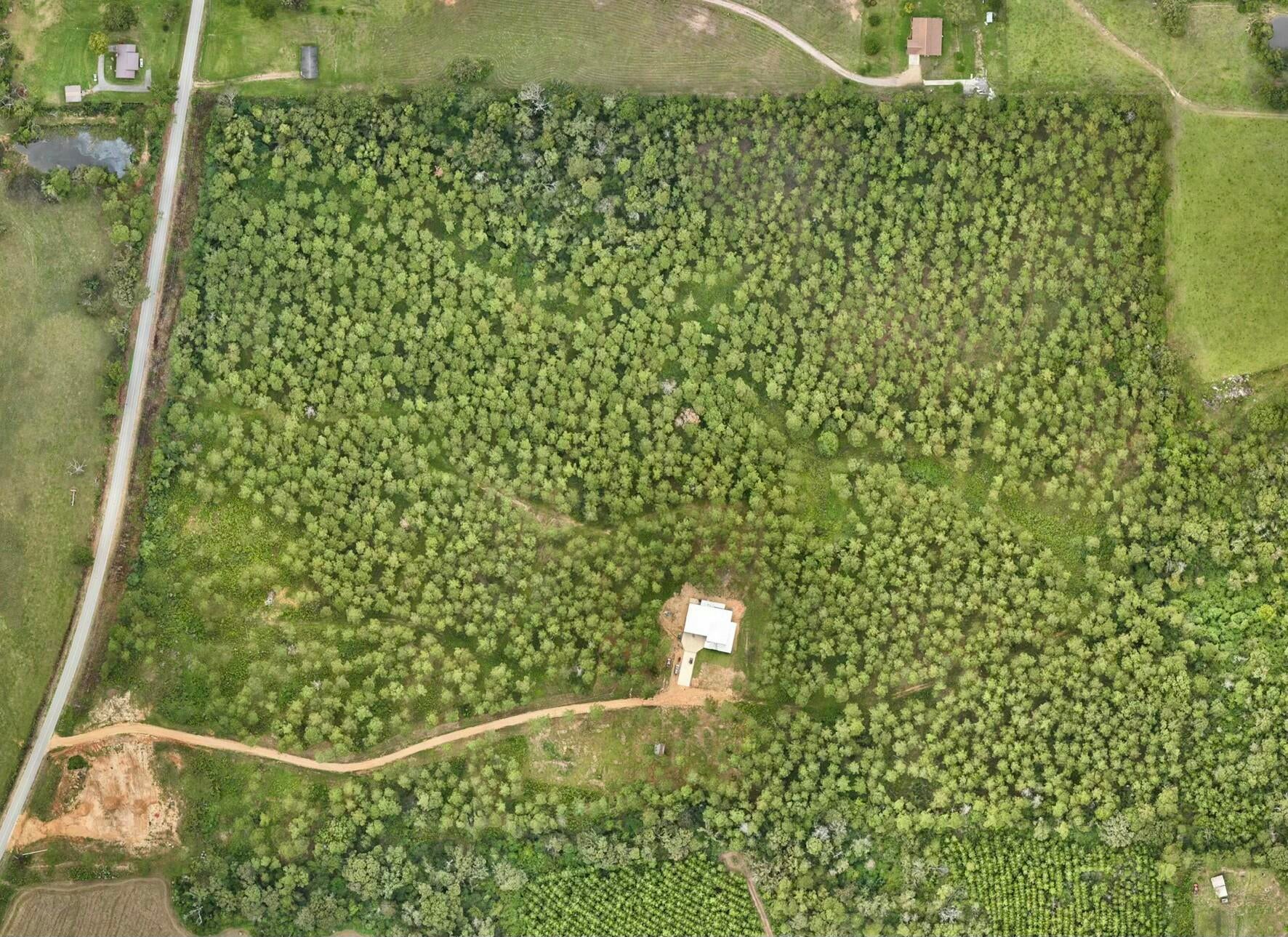 Tbd Gates Road Columbia, MS 39429 - Photo 1 of 1 2be188ef-13e4-4d10-9a73-e368a6cc3ce0