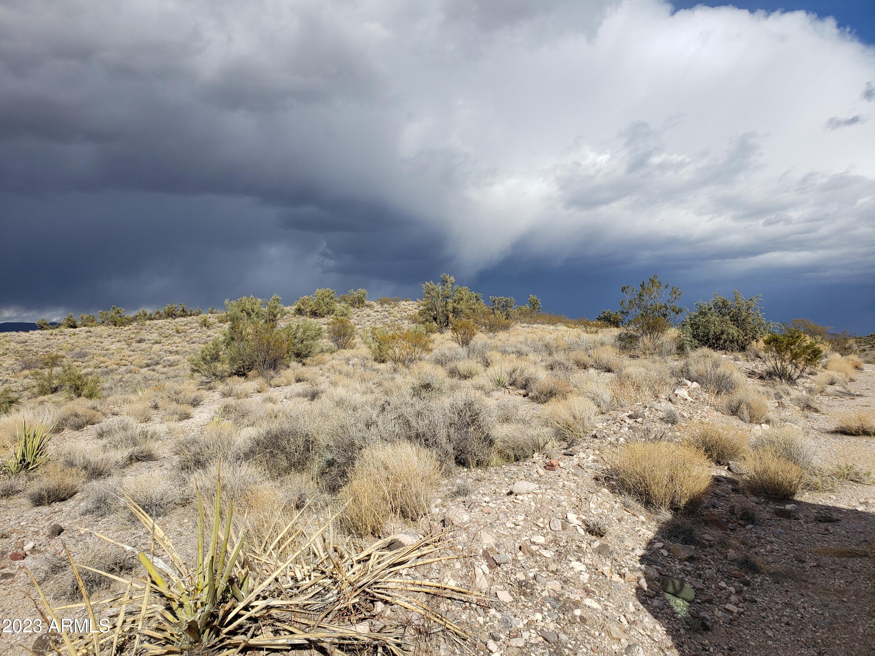 0 South Colin Road Kingman, AZ 86401 - Photo 15 of 24 20210213_153104