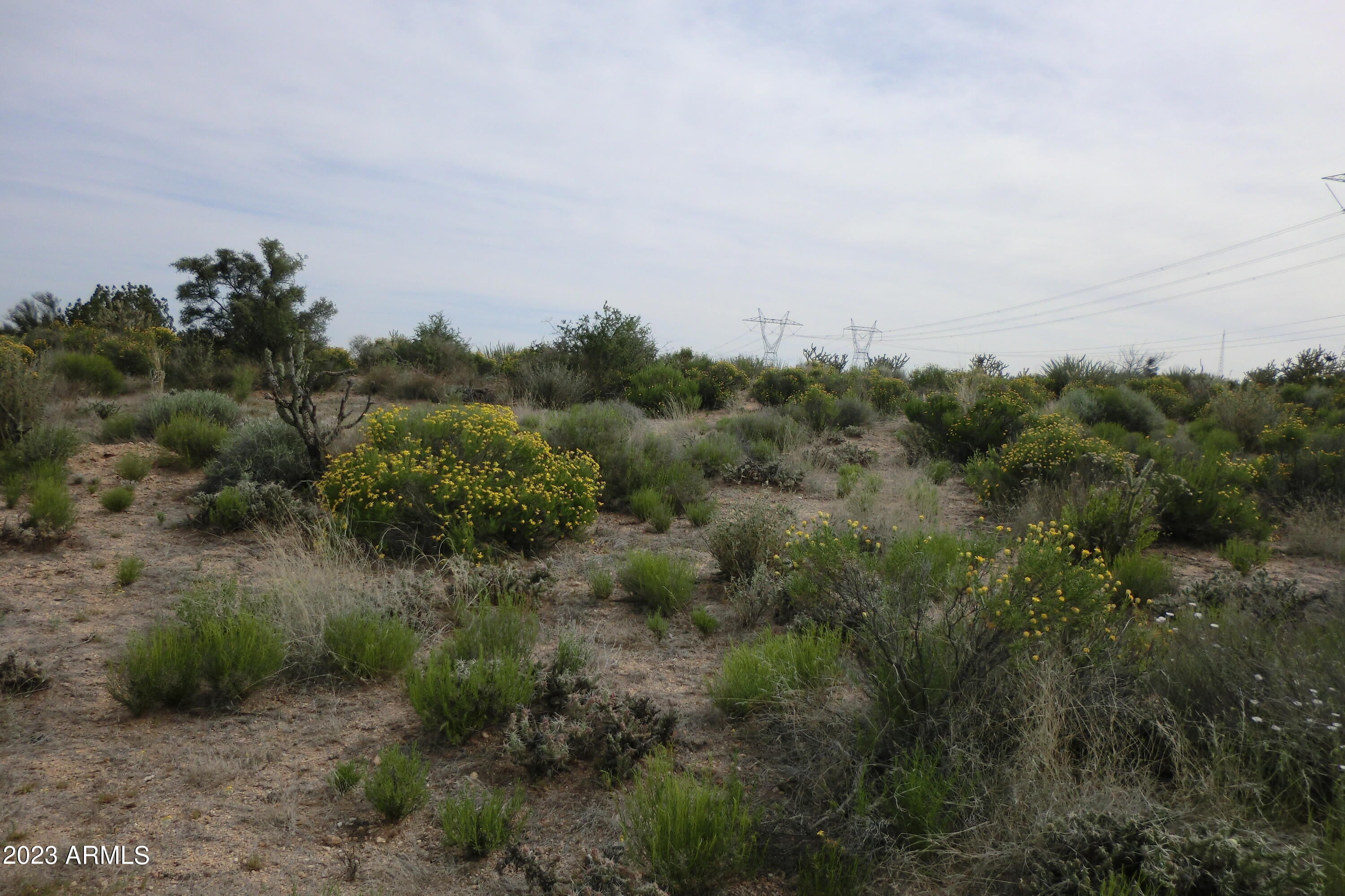 0 South Colin Road Kingman, AZ 86401 - Photo 8 of 24 CIMG1703