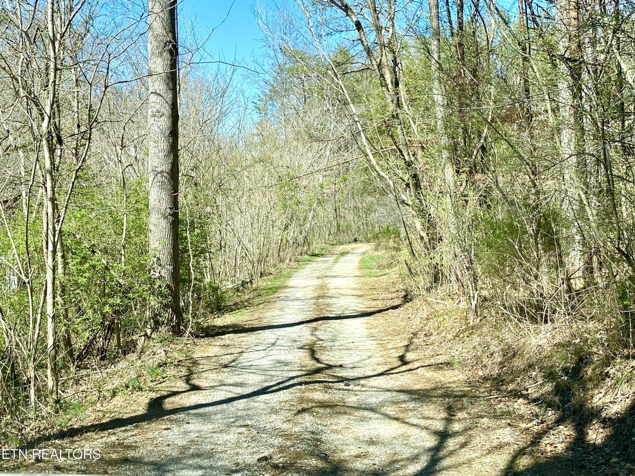 396 Beulah Road Tellico Plains, TN 37385 - Photo 24 of 29 Gallery Image 24