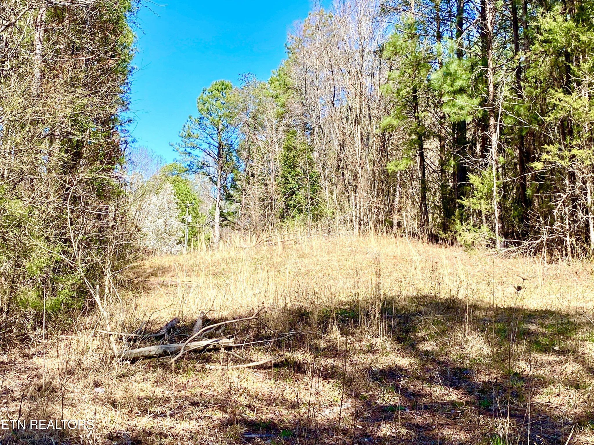 396 Beulah Road Tellico Plains, TN 37385 - Photo 26 of 29 Gallery Image 26
