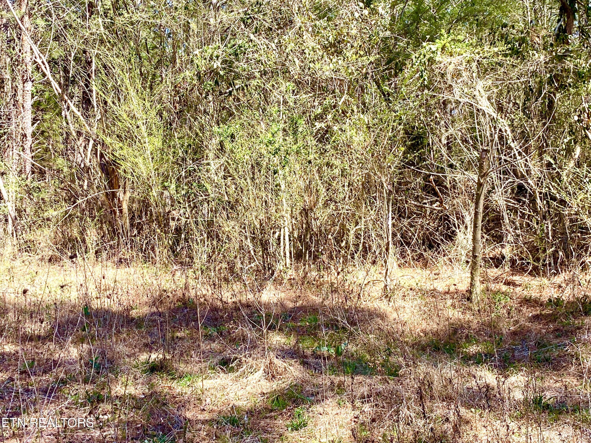 396 Beulah Road Tellico Plains, TN 37385 - Photo 27 of 29 Gallery Image 27