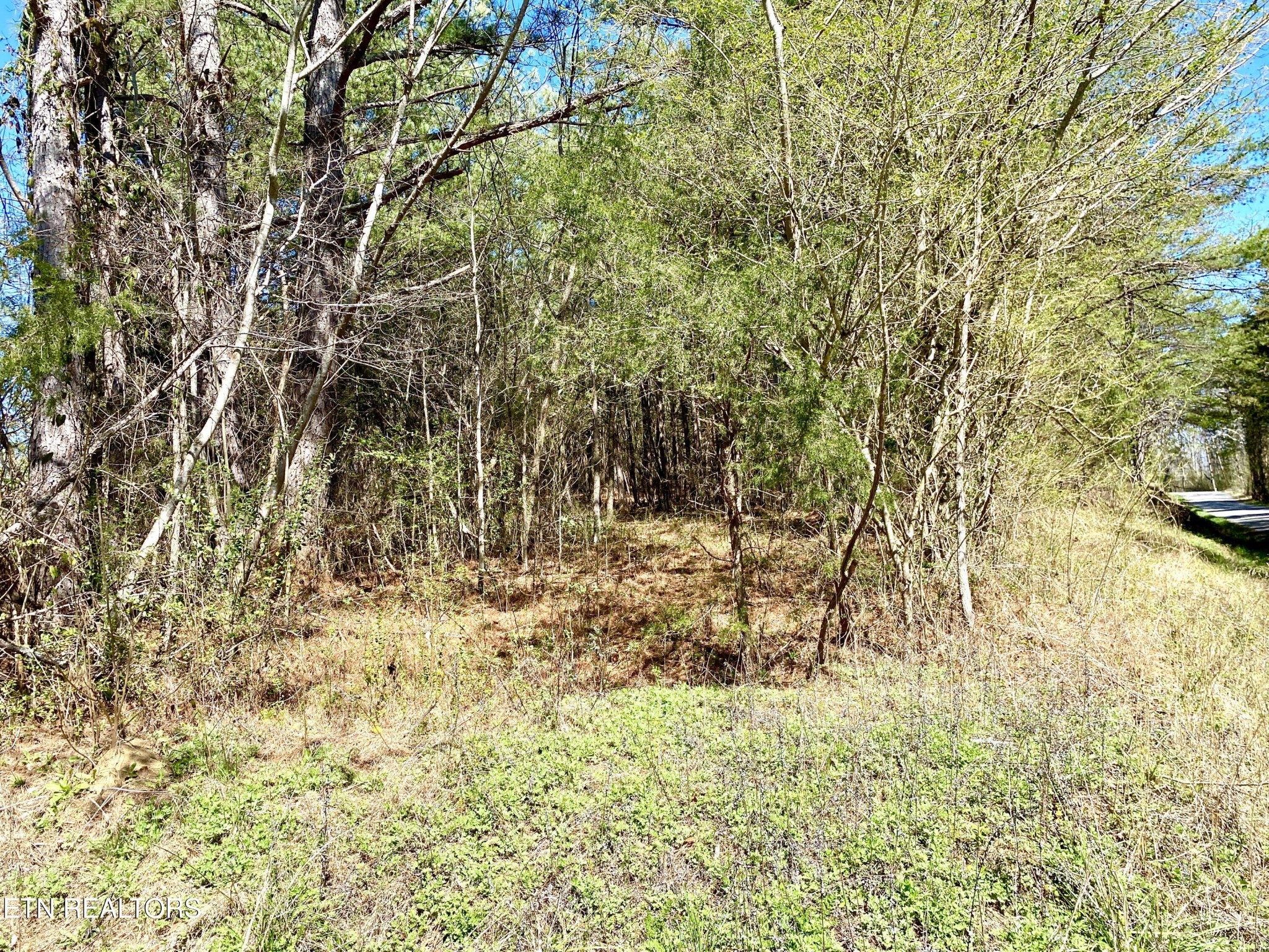 396 Beulah Road Tellico Plains, TN 37385 - Photo 28 of 29 Gallery Image 28
