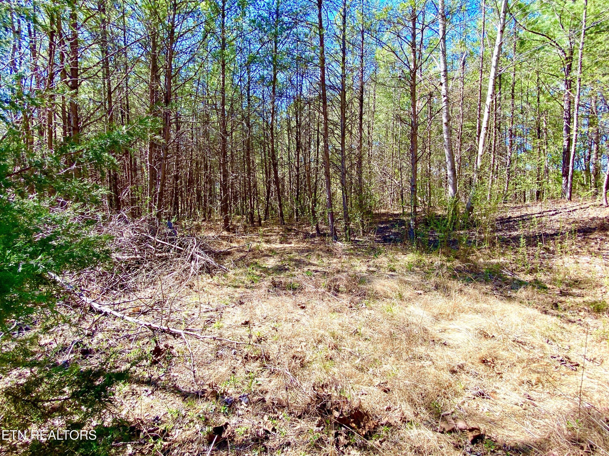 Gallery Image 6