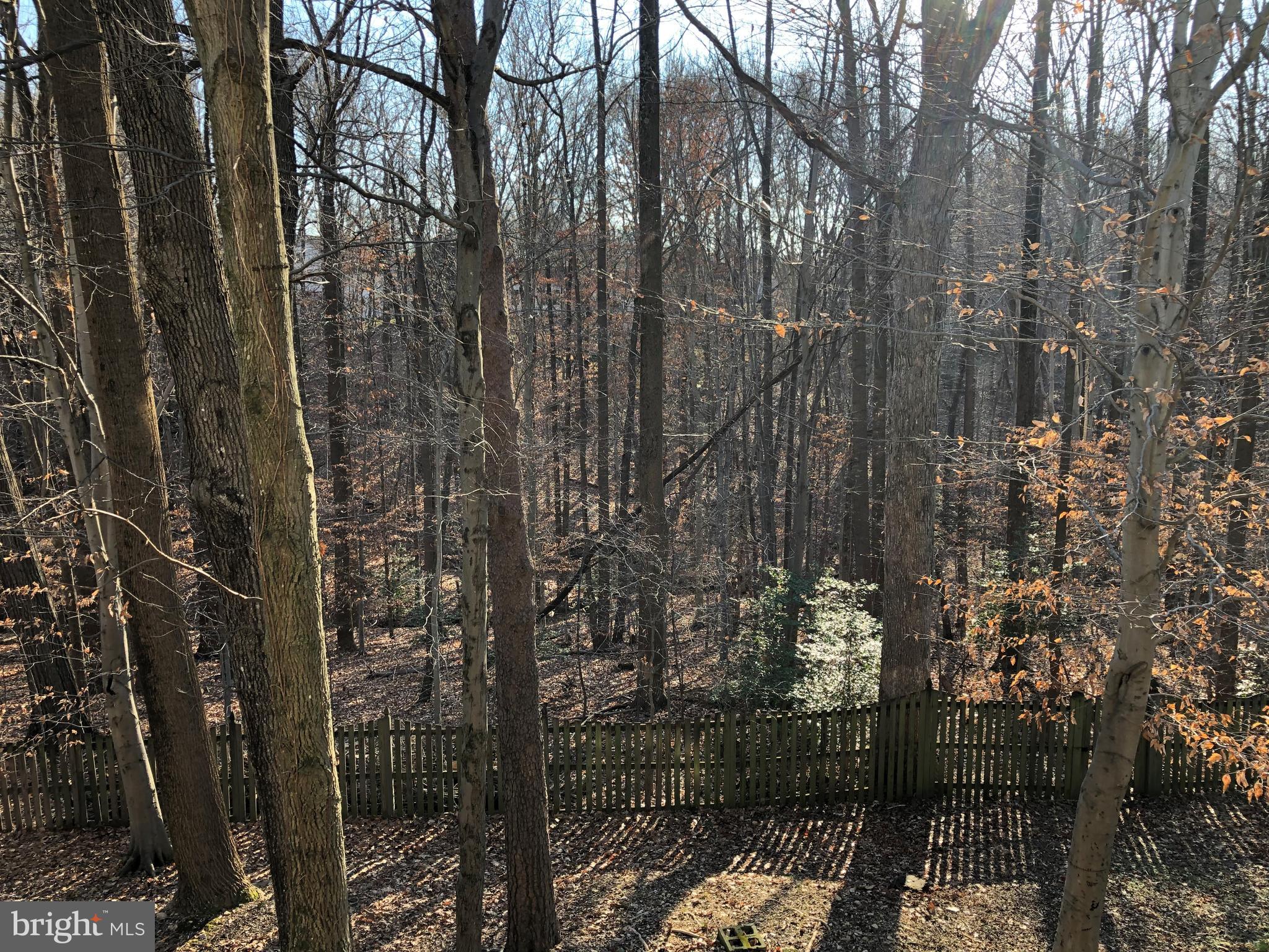 7911 Richfield Road Springfield, VA 22153 - Photo 14 of 40 VIEW from Rear Wood Deck