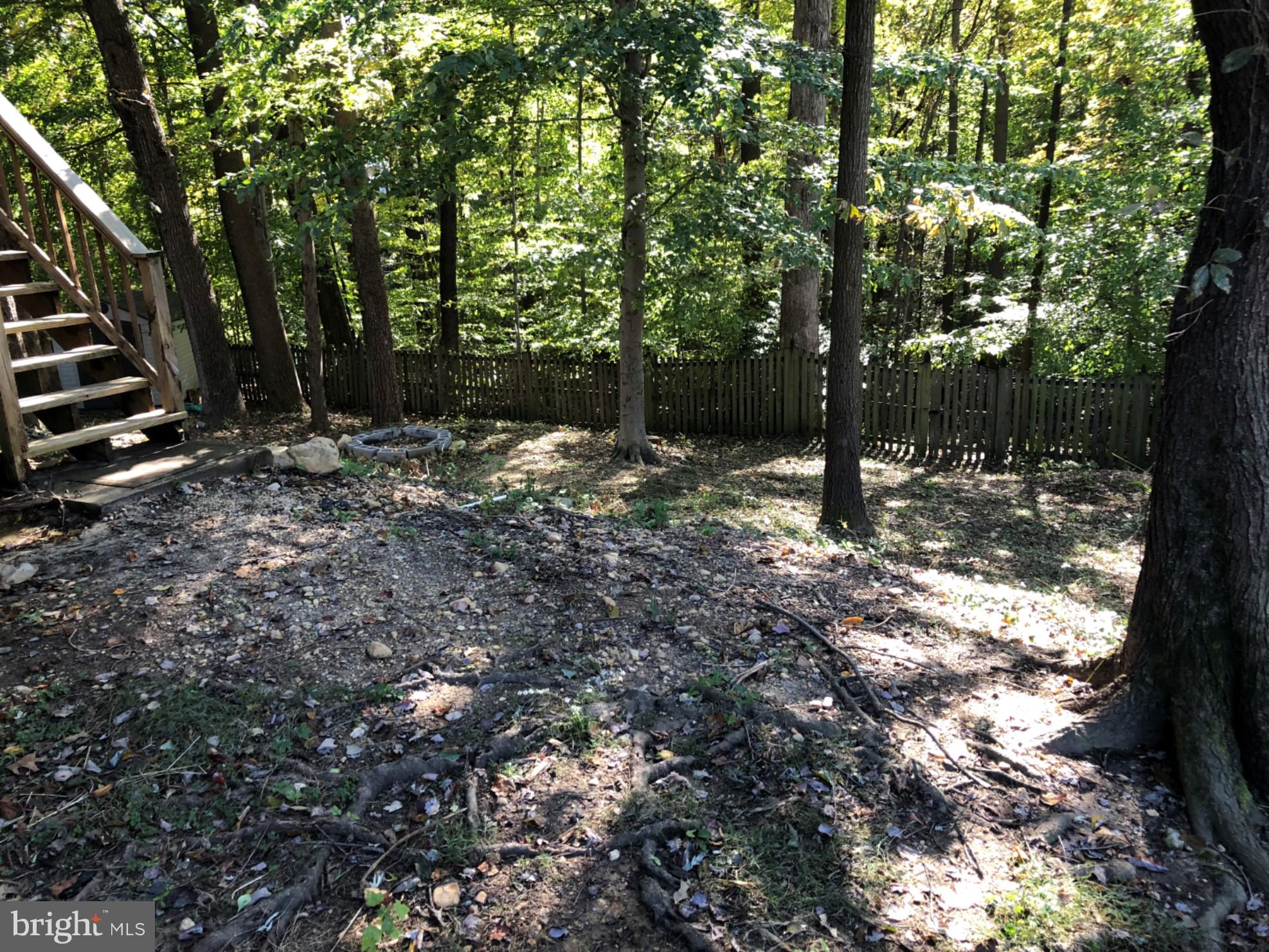 7911 Richfield Road Springfield, VA 22153 - Photo 17 of 40 Private WOODED Rear Yard and Views!