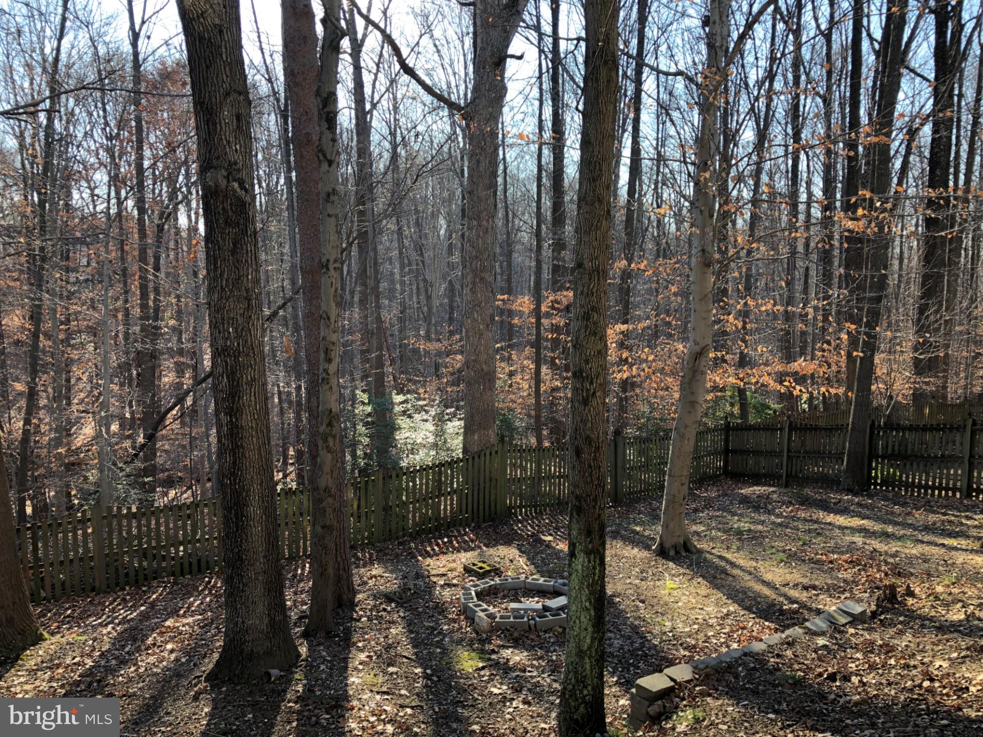 7911 Richfield Road Springfield, VA 22153 - Photo 38 of 40 Fully-Fenced Backyard with Trees!