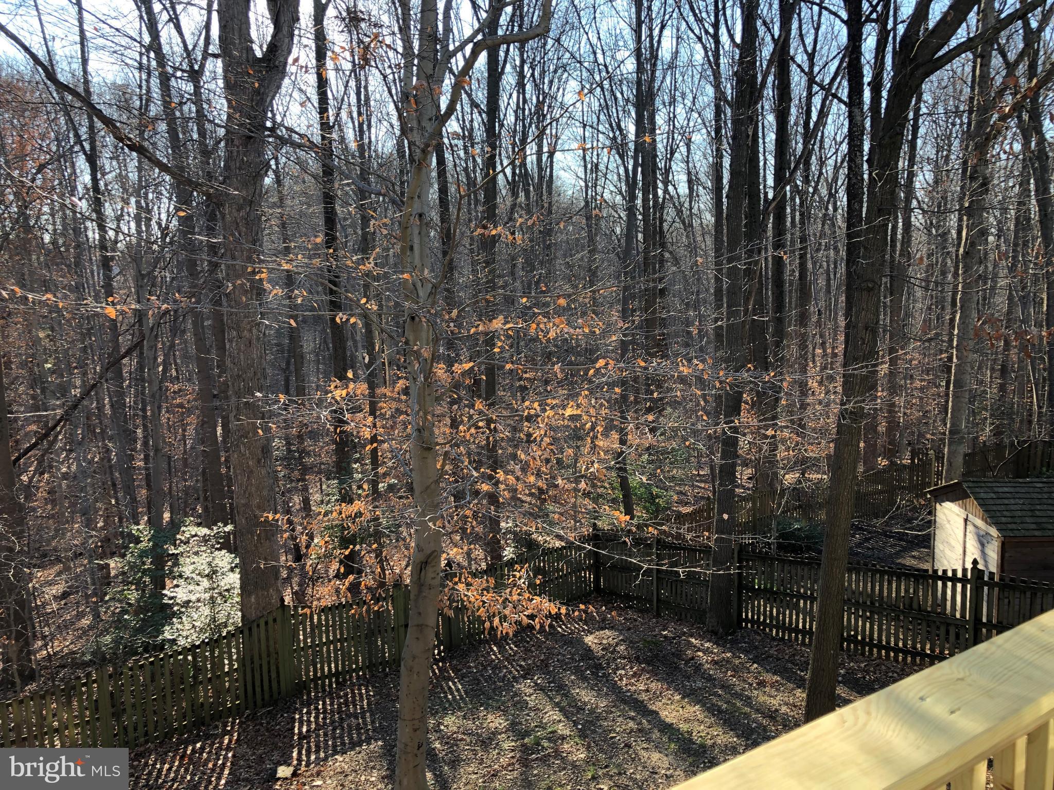 7911 Richfield Road Springfield, VA 22153 - Photo 39 of 40 VIEW from Rear Wood Deck