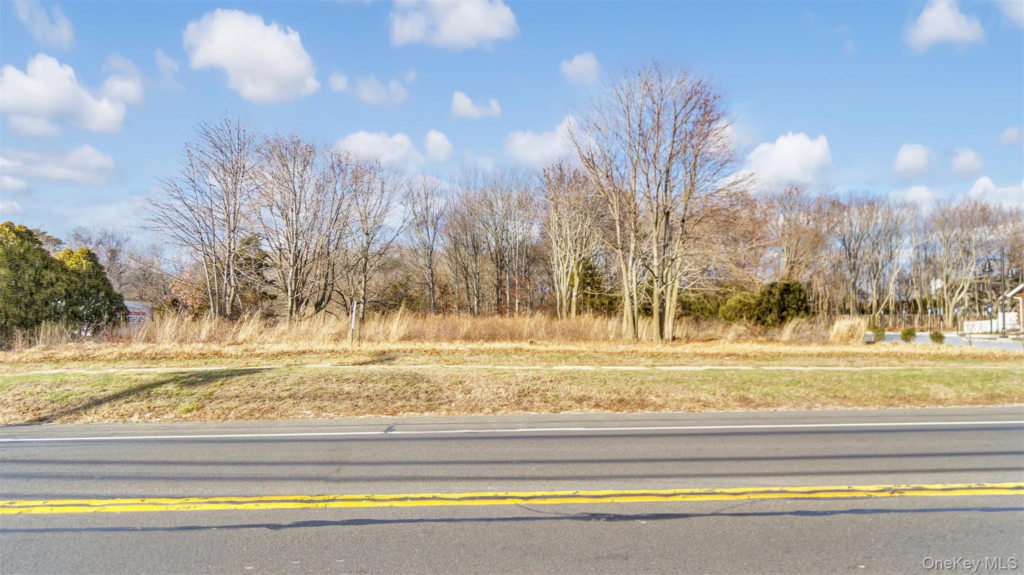 Undisclosed Address Aquebogue, NY 11931 - Photo 14 of 15 a view of a yard with swimming pool and trees in the back